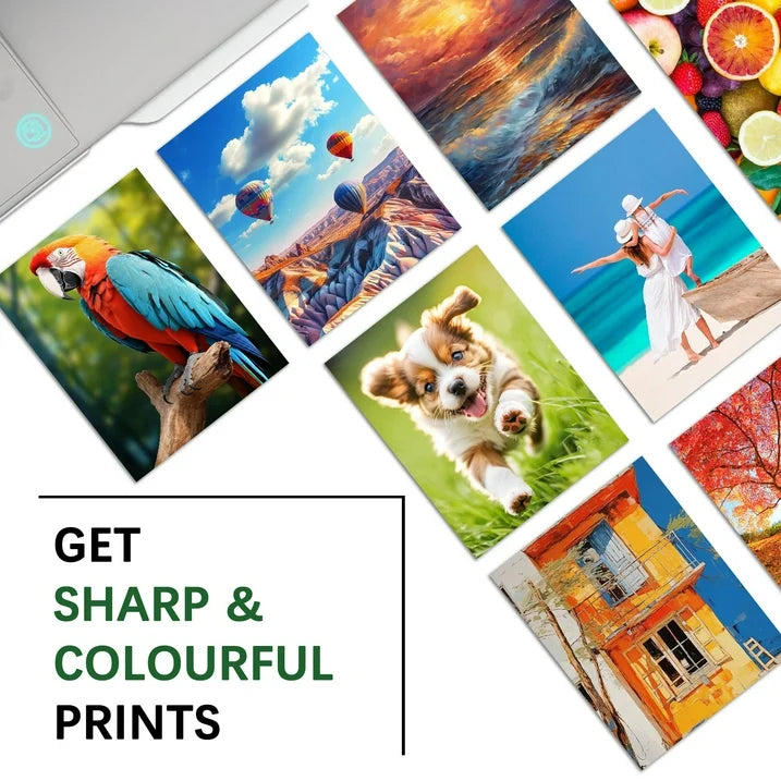 920XL Ink Cartridges Compatible for HP 920 Ink Cartridges Combo Pack for HP OfficeJet 6500A Printer